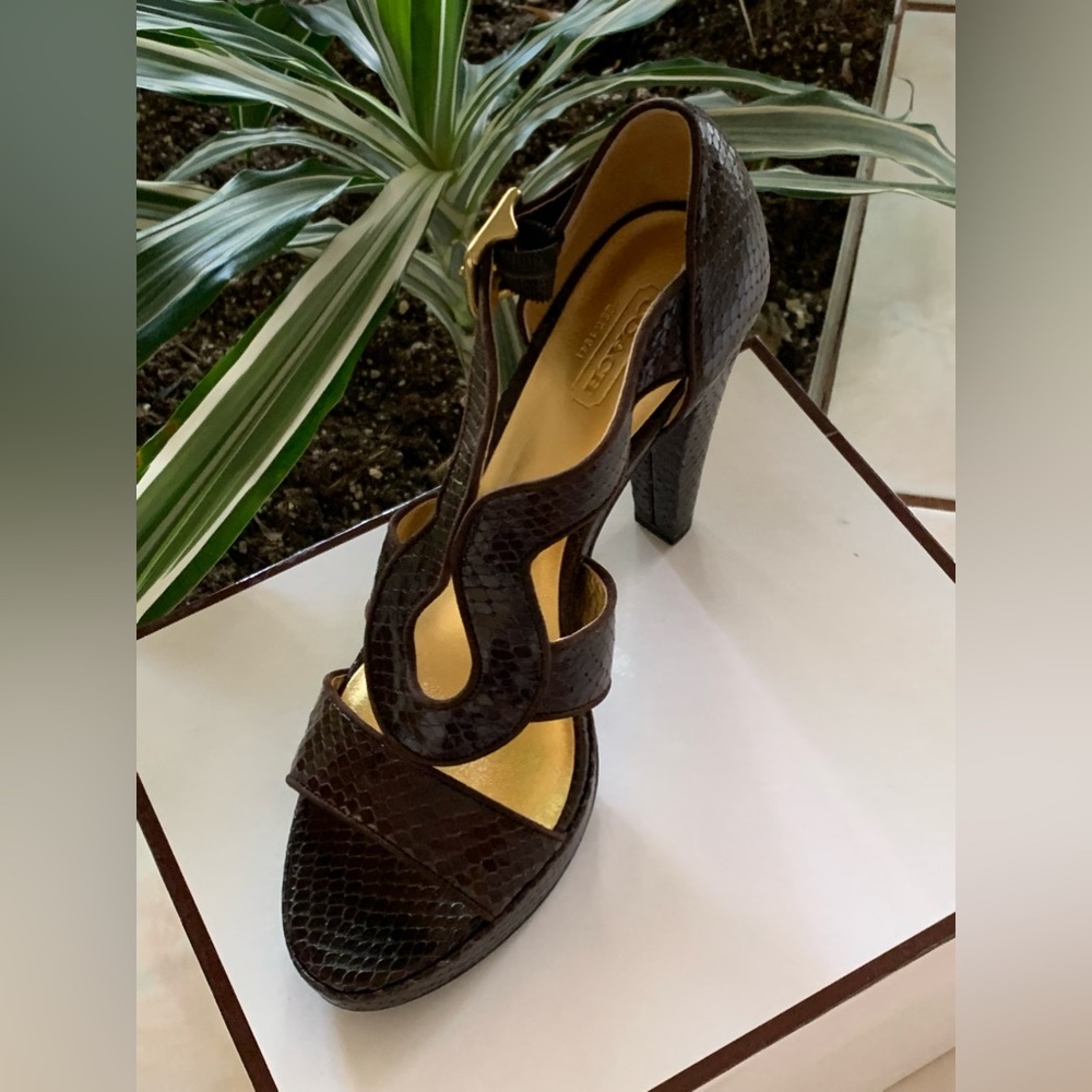 COACH IVANAH PYTHON/NUBUCK CHESTNUT BROWN SIZE 8M NEW IN BOX - Picture 5 of 16